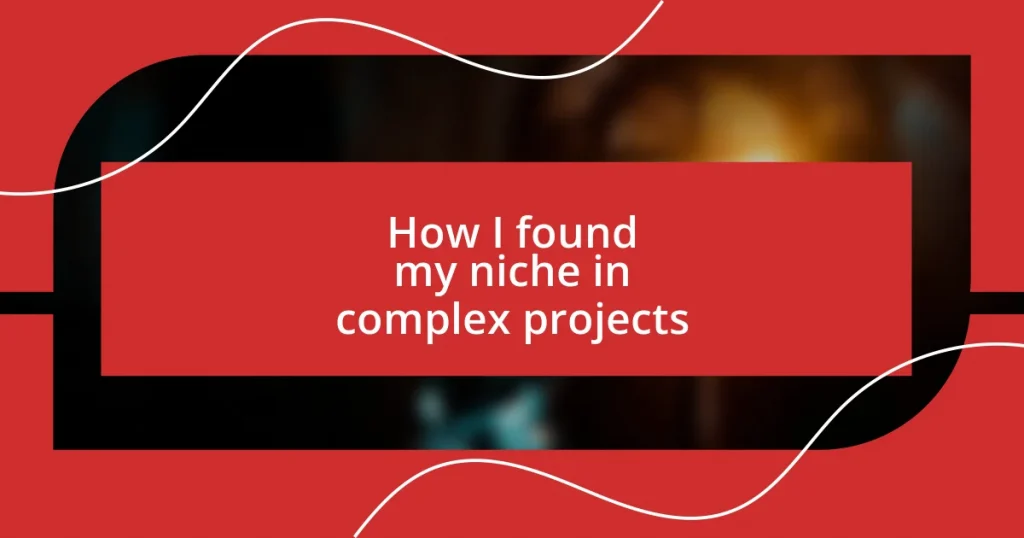 How I found my niche in complex projects